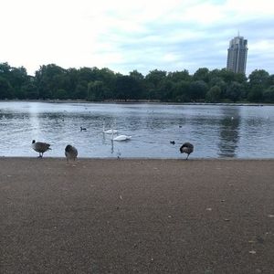 Meet your Posher, Rossita